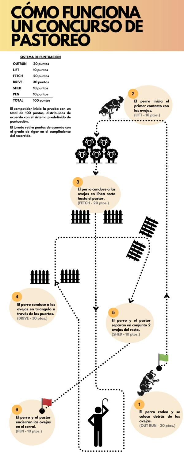 Esquema explicativo de cómo funciona un concurso de pastoreo