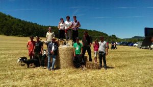 Concursos del primer trimestre